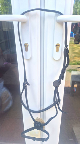 Black leather horse - black, noseband