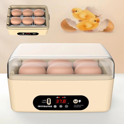 Eggs incubator automatic - eggs,