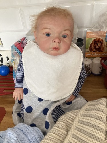 Reborn doll - reborn,