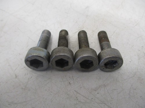 Footpeg screws front pieces - screws,