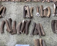 Antler Dog Chew Bundle (medium)