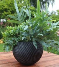 28cm Swirl Bowl Plant Flower