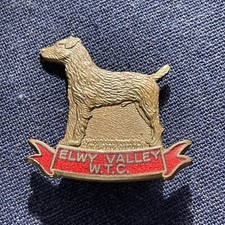 Elwy Valley Working Terrier