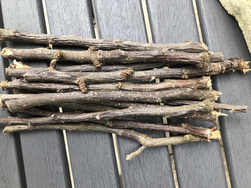 Apple chew sticks 100 - %, natural
