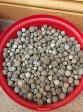 5 Large Caliber Musket / Rifle