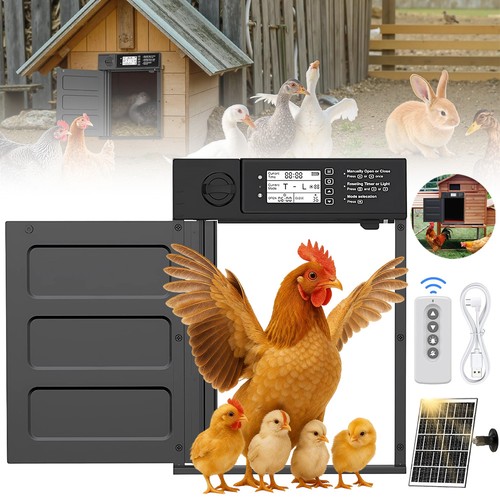 Chicken door opener automatic - chicken,