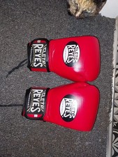 Cleto Reyes Universal Training