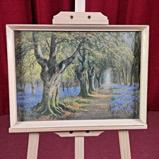 Budding Spring Bluebells in a Wood 1950s Print Daniel Sherrin VTG 13.5" x 18.5