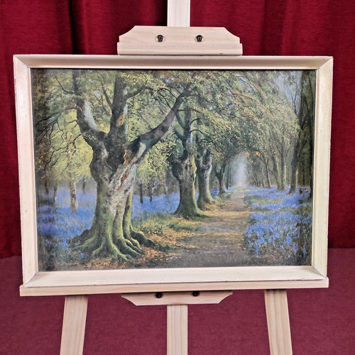 Budding spring bluebells - spring, a