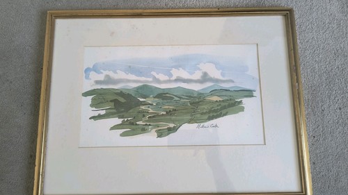 Matthew cook signed limited - signed,