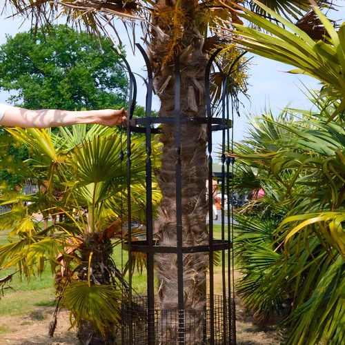 Wrought iron traditional - wrought,
