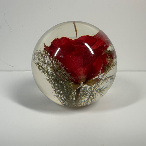 Hafod grange red rose - 3",