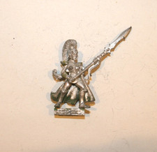 WARHAMMER MAIDEN GUARD Metal