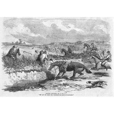 Victorian Fox Hunting Scene II