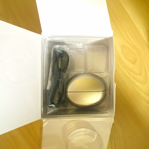 Phonak mini charger case - mini,