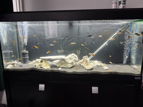 Fluval roma 240 - fluval,