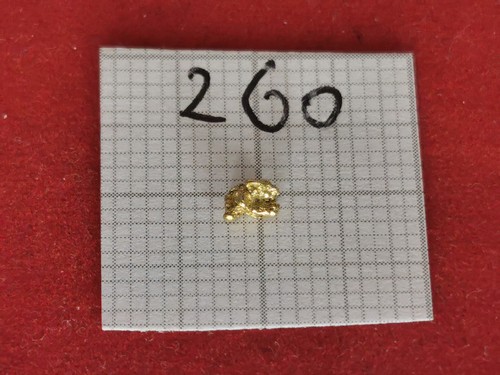 260 gold nugget alaska yukon - gold,