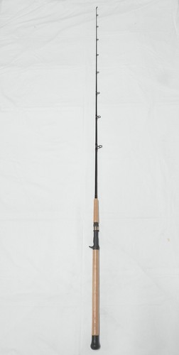 Salmon steelhead casting rod - &,