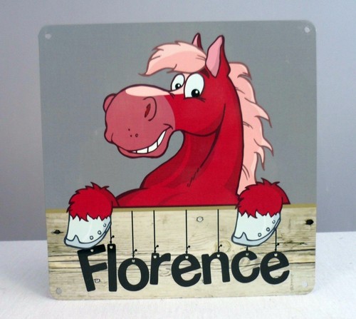 Horse pony name - pony, plate