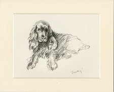 COCKER SPANIEL VINTAGE 1937