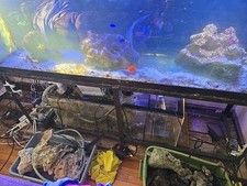 125 Gallons fish Tank With