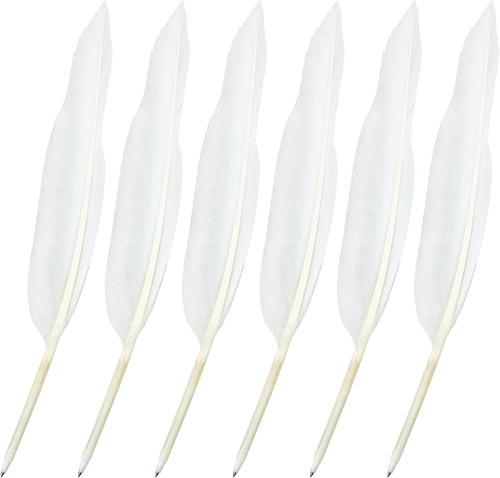 White goose feather quill - goose,