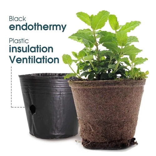 Poly plant pots - plant, bag