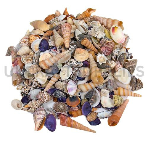 50g assorted mixed - 50g, mini