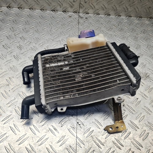 Radiator grille expansion tank