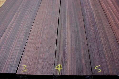 Indian rosewood electric - indian, /