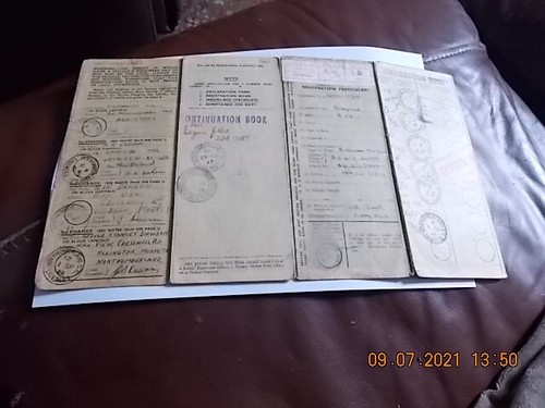 Triumph tw25 buff - triumph,