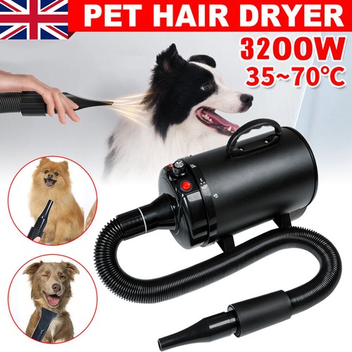 Dog hair dryer - dog, fur