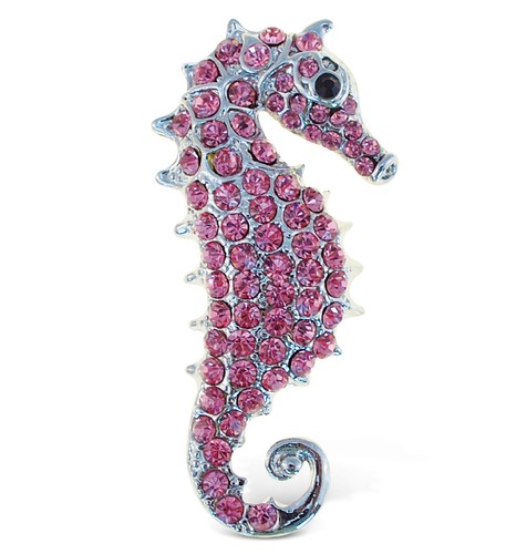 Sparkling magnets sea - sea, horse