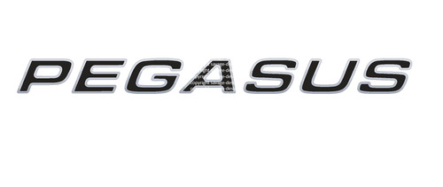 Pair bailey pegasus - a,