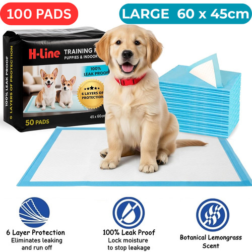 100 large puppy training - puppy,