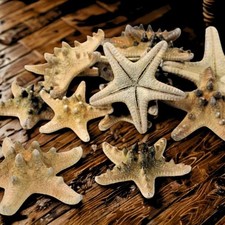 1 Pc - Small / Medium / Large