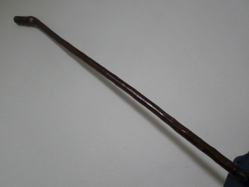 Blackthorn knob walking stick - blackthorn,