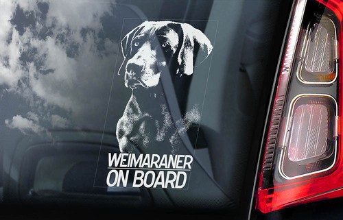 Weimaraner car sticker - car,