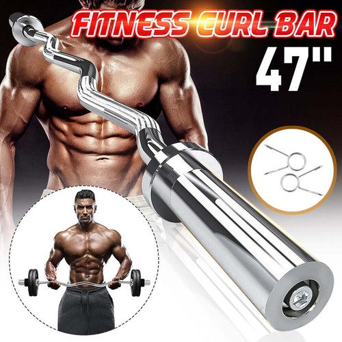 4ft olympic barbell ez curl - barbell,