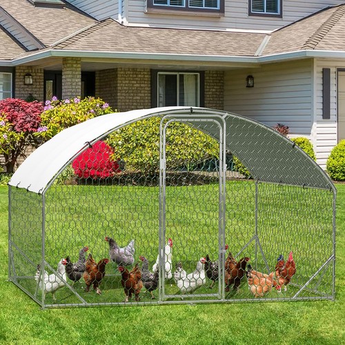 Walk in chicken - 6/4/2m, run