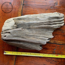 Driftwood - A Beautiful Piece