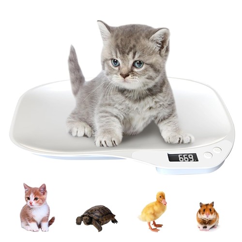 Pet scales for - pet,