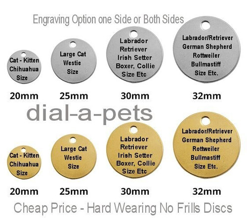 Cat dog tags kitten - id,