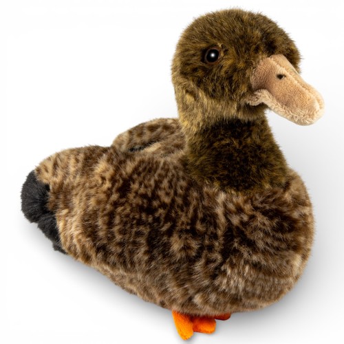 Carl dick duck female wild - duck,