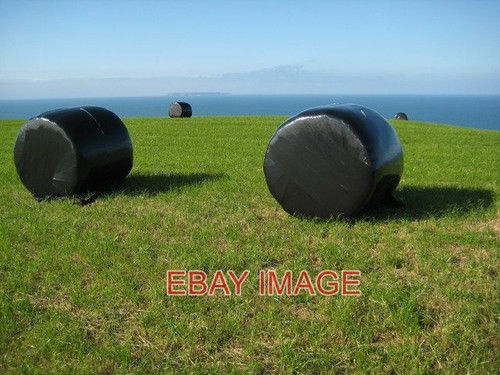Photo silage bales - bales, above