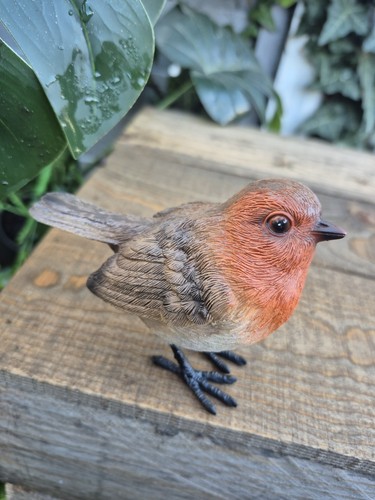 Realistic robin ornament - ornament, –