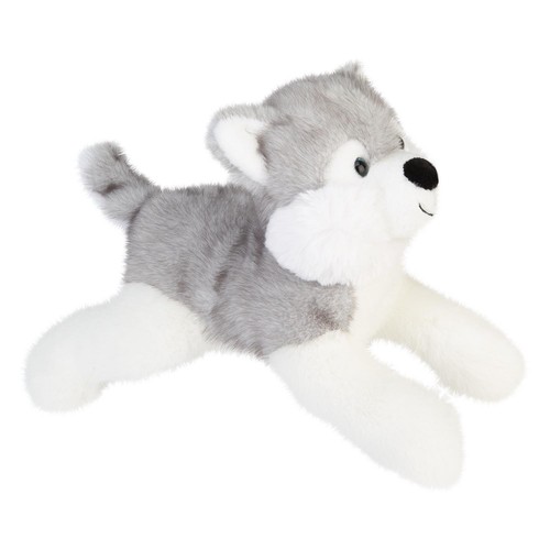 Lying luxury frosty husky - frosty, soft