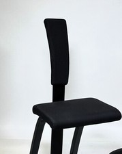 Varier Variable Backrest