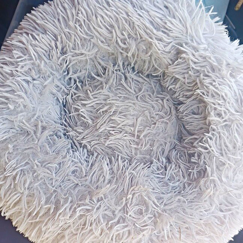 Grey round plush donut - plush, dog