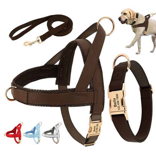Personalised dog pet - personalised,